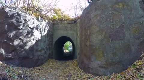 Happy two girls in the park through the tunnel. They laugh and talk. Stock-Footage 56067775