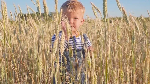 Happy two year old boy standing on field and waves his hand. slow motion Stock Footage 91246468