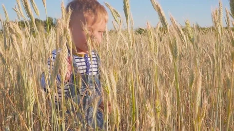 Happy two year old boy standing on field and waves his hand. concept. Small Stock Footage 91248276