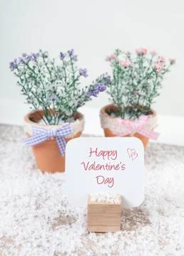 Happy valentines day with flowers Stock Photos