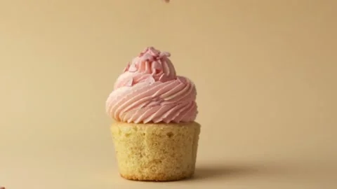 Happy Valentine's day Stock Footage 224535062