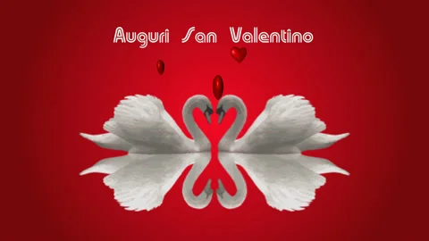 Happy Valentine's Day Stock Footage 229277370