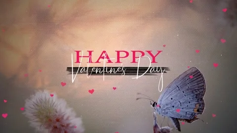 Happy Valentine's Day Title Background Stock Footage 146708455