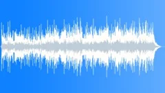 Happy Wanderer Acoustic Uplifting Stock Music