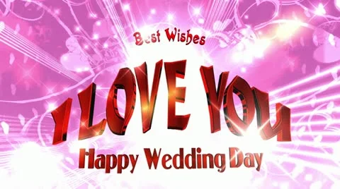 Happy Wedding Day Stock Footage 21263385