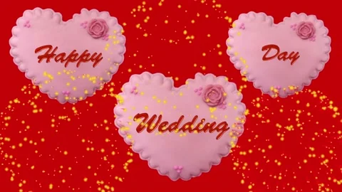 Happy Wedding Day Stock Footage 135429302