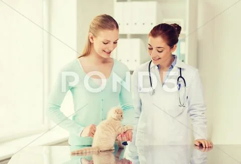 Happy woman with cat and doctor at vet clinic Stock Photos