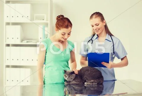 Happy woman with cat and doctor at vet clinic Stock Photos