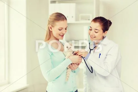 Happy woman with cat and doctor at vet clinic Stock Photos