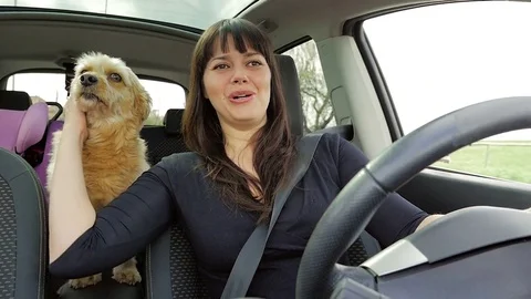 Happy woman kissing dog while driving car slow motion Stock Footage