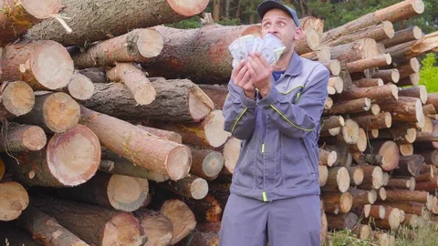 Happy Worker logger or carpenter have big money near a pile of logs, sawn wood 스톡 동영상 91204216