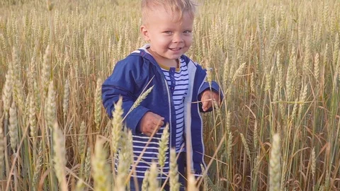 Happy young boy going on field with wheat at sunny day. concept of Small farmer Видео 91324894