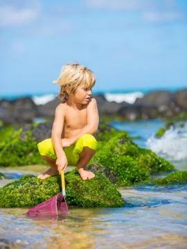 Happy young boy having fun at the beach, playing with fishing net, tropical v Stock Photos