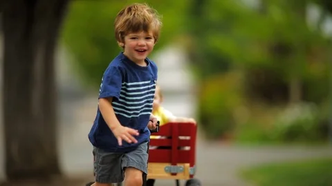 Happy young boy pulling his baby brother along in a wagon. Vidéo 88405406