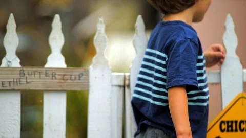 Happy young boy pulling his baby brother along in a wagon. Stock-Footage 88405412