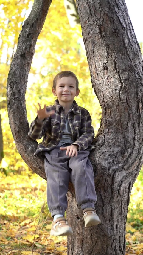 Happy young boy sitting in a tree among yellow autumn leaves, smiling and waving Video stock 347681774