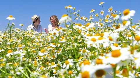 Happy, young couple in a chamomile field Vidéo 58329683
