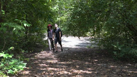 Happy young Couple walking through forest in nature park together . Young gir Stock Footage 163691247
