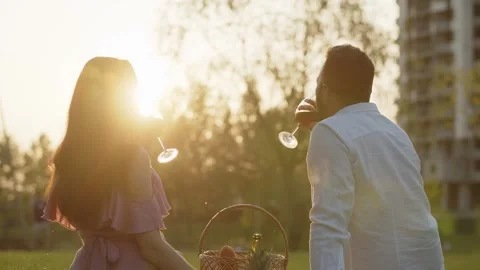 Happy young cute couple drinking red wine in park. Adult lovers toasting Stock Footage 256023672