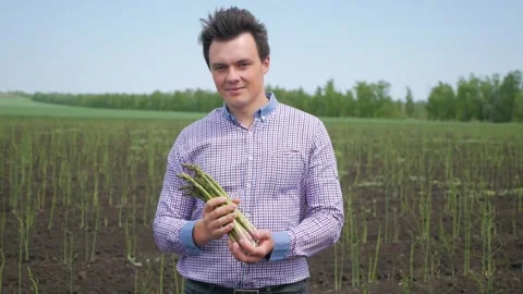 Happy young farmer in a blue checked shirt is holding fresh green asparagus look Stock Footage 130404482