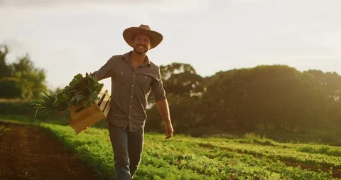 Happy young farmer walking in fields Stock Footage 109320736