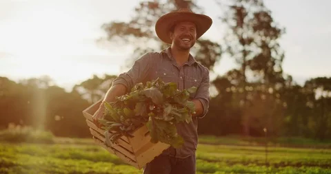 Happy young farmer walking in fields Stock Footage 109321564