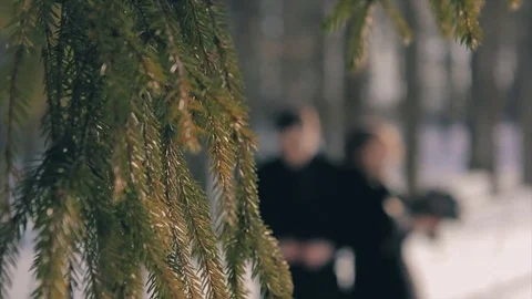 Happy young lovers in black stand under tall tree Slow Motion Video stock 83536108