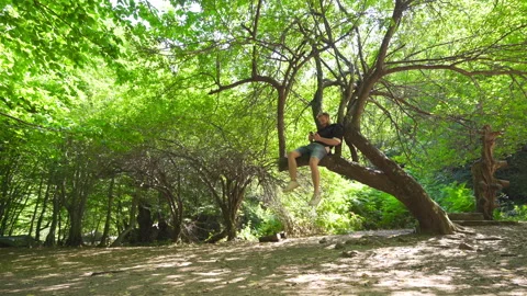 Happy young man in the forest. Video stock 212563126