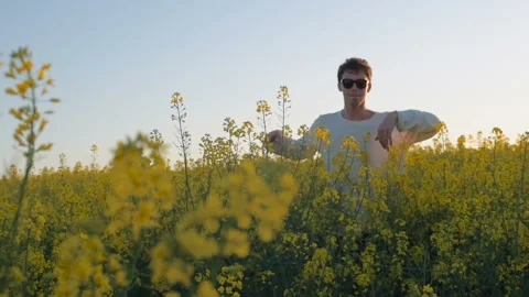 Happy young man having fun and dancing in yellow field during sunset Stock Footage 89444519