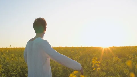Happy young man having fun and dancing in yellow field during sunset Stock Footage 89447374