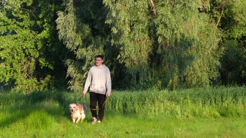 A happy young man scratching his dog at dawn on the green grass. Stock Footage 202315529