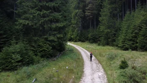 Happy Young man walking through the trail in summer forest. Male traveler hiker Stock Footage 194554296