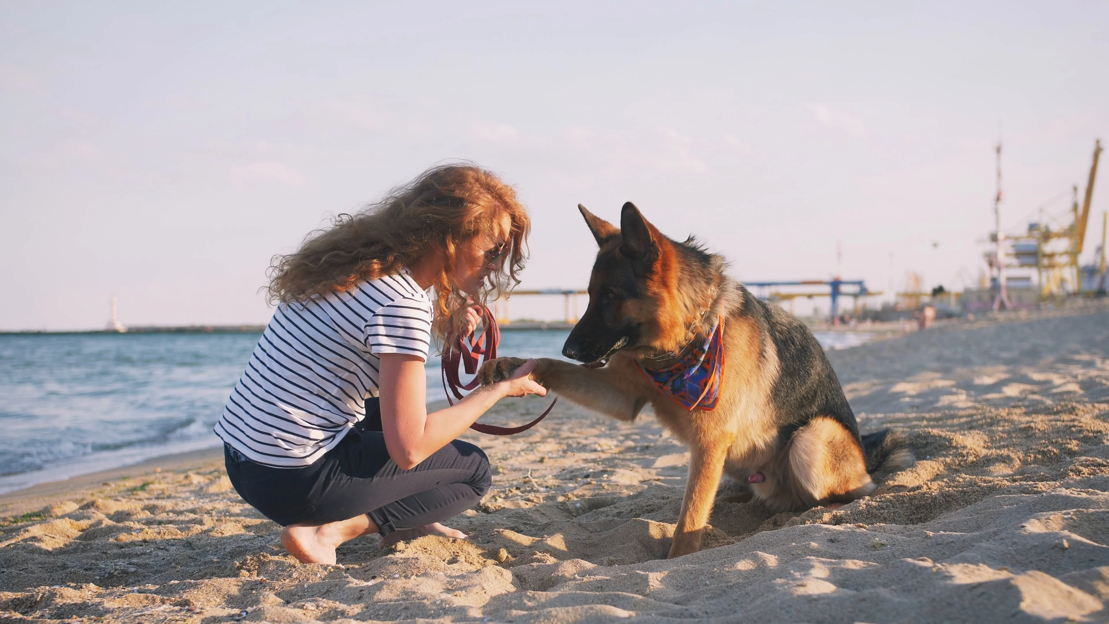 Happy young woman playing with her Stock Video Pond5