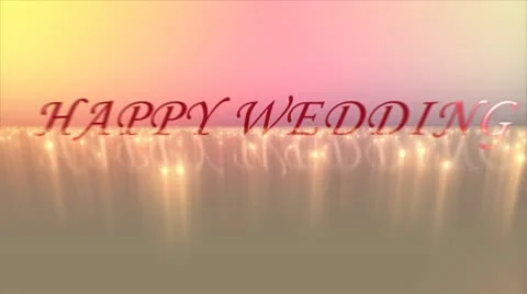 Happywedding Stock Footage 10792058