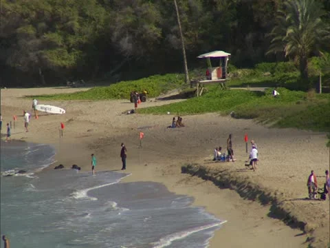 Hapuna Beach and Lifeguard Stand Stock-Footage 22244604