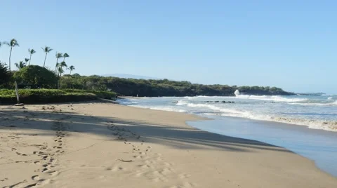 Hapuna Beach State Park, Kohala Coast, Island of Hawaii Stock Footage 46879346