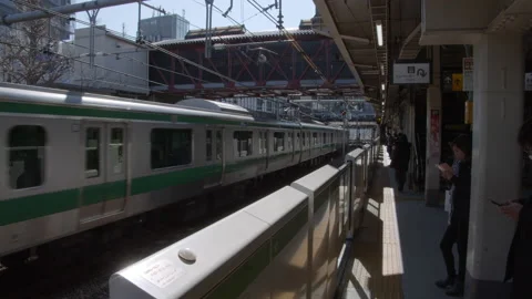 HaraJuku Stock Footage 139478939