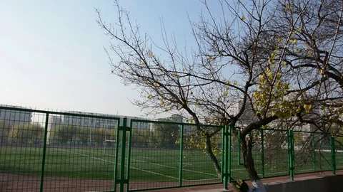 Harbin Engineering University 動画素材 85199671