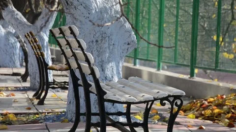 Harbin Engineering University Vídeo Stock 85199870