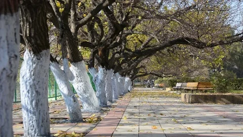 Harbin Engineering University Vídeo Stock 85200522