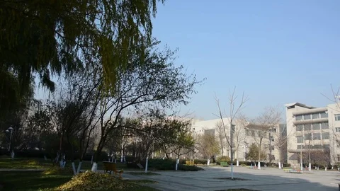 Harbin Engineering University Видео 85200830