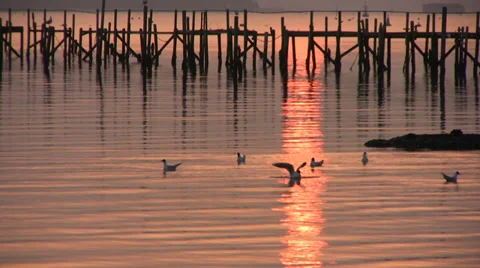 Harbor with abandoned pier in the sunset Stock Footage 36090089