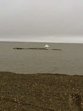 Harbor and bay views from Alaska 스톡 사진