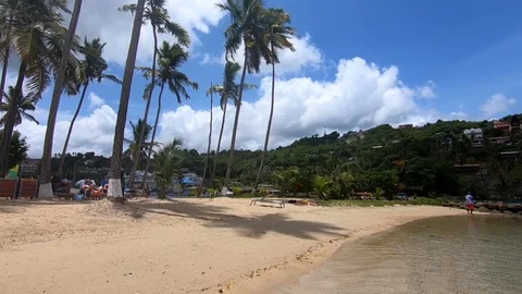 Harbor Beach Video stock 94839351