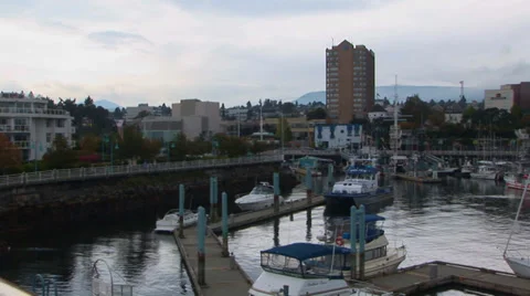 Harbor with Boats Stock Footage 33604608