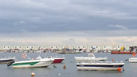 Harbor with boats Stock Footage 219019200