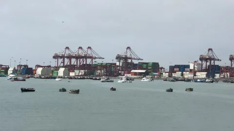 Harbor bustling scene. Waterfront port alive with cranes. Active port with Stock Footage 337791238