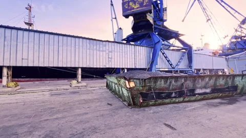 Harbor crane loads high oleic sunflower seeds onto cargo ship. Delivery of grain Stock Footage 264785470