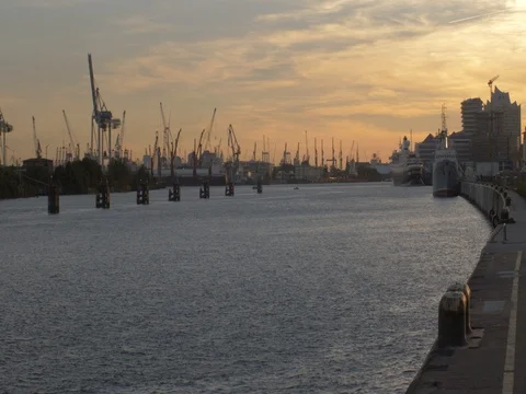 Harbor cranes anamorphic Stock Footage 82579070