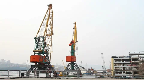 Harbor cranes at berth Stock Footage 61493896